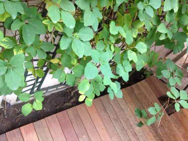 Aménagement extérieur sur mesure Paris
